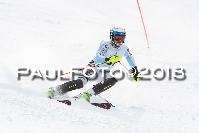 FIS Alpine Kombi 2x Slalom Herren 26.02.2018