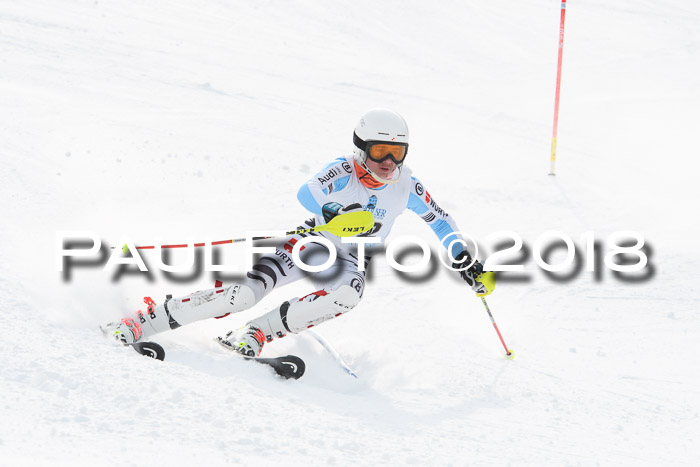 FIS Alpine Kombi 2x Slalom Herren 26.02.2018