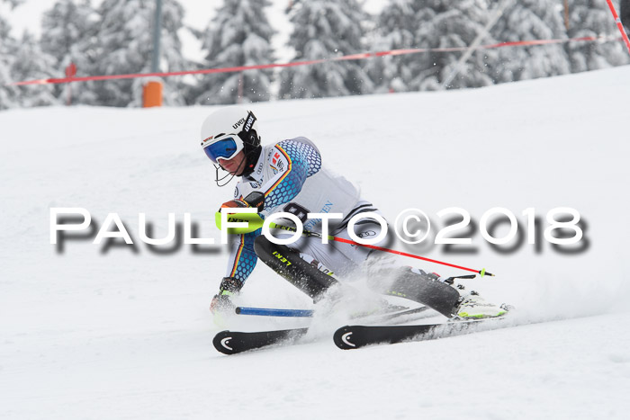 FIS Alpine Kombi 2x Slalom Herren 26.02.2018