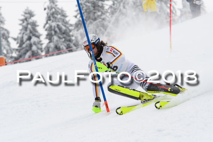 FIS Alpine Kombi 2x Slalom Herren 26.02.2018