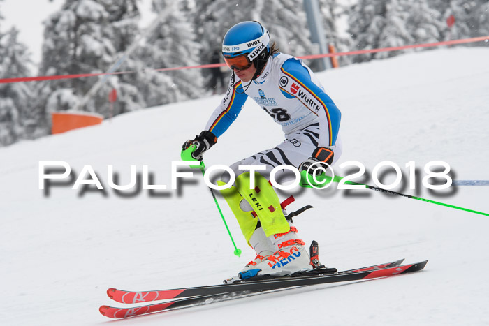 FIS Alpine Kombi 2x Slalom Herren 26.02.2018