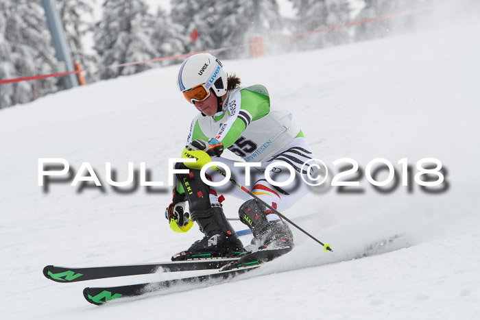 FIS Alpine Kombi 2x Slalom Herren 26.02.2018