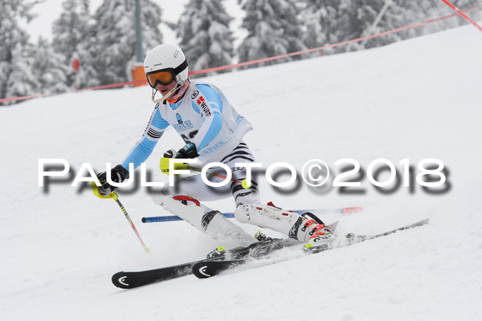 FIS Alpine Kombi 2x Slalom Herren 26.02.2018