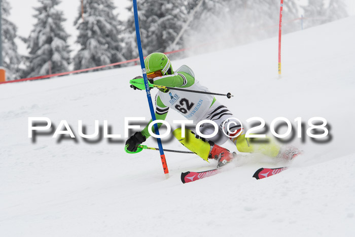 FIS Alpine Kombi 2x Slalom Herren 26.02.2018