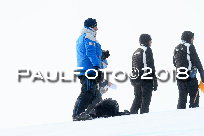 Int. FIS Rennen + NJC Herren, SG, Götschen, 26.02.2018