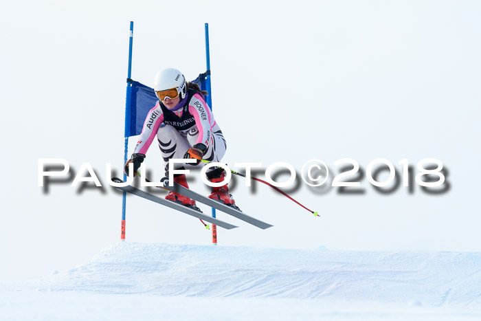 Int. FIS Rennen + NJC Herren, SG, Götschen, 26.02.2018