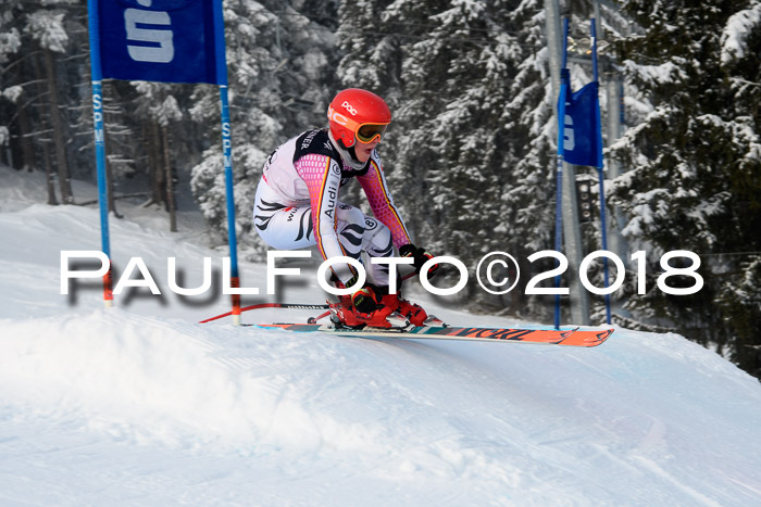 Int. FIS Rennen + NJC Herren, SG, Götschen, 26.02.2018