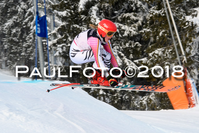 Int. FIS Rennen + NJC Herren, SG, Götschen, 26.02.2018