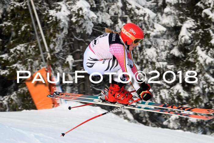 Int. FIS Rennen + NJC Herren, SG, Götschen, 26.02.2018