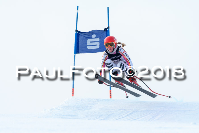 Int. FIS Rennen + NJC Herren, SG, Götschen, 26.02.2018