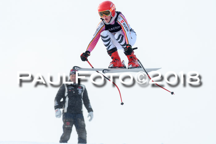 Int. FIS Rennen + NJC Herren, SG, Götschen, 26.02.2018