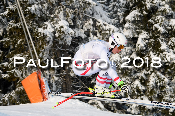 Int. FIS Rennen + NJC Herren, SG, Götschen, 26.02.2018