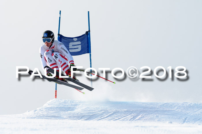 Int. FIS Rennen + NJC Herren, SG, Götschen, 26.02.2018