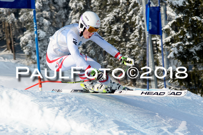 Int. FIS Rennen + NJC Herren, SG, Götschen, 26.02.2018