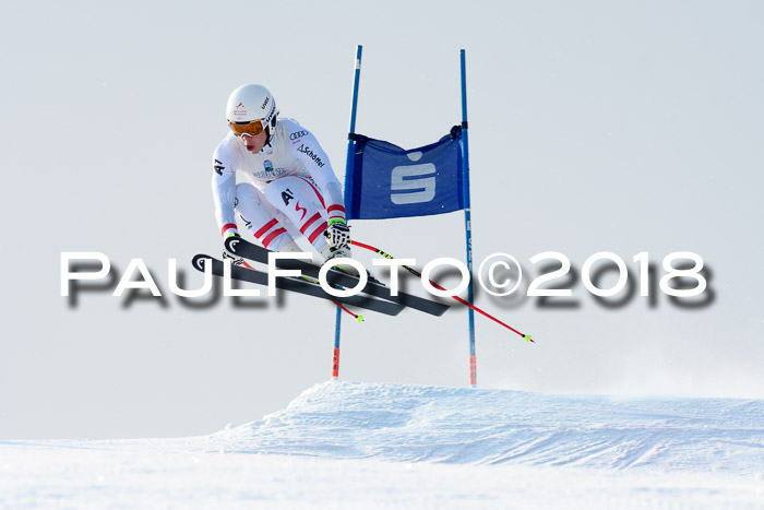 Int. FIS Rennen + NJC Herren, SG, Götschen, 26.02.2018