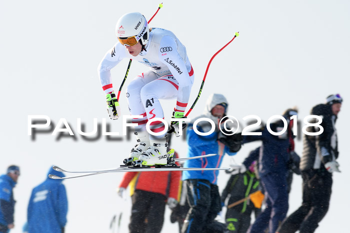 Int. FIS Rennen + NJC Herren, SG, Götschen, 26.02.2018