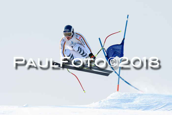 Int. FIS Rennen + NJC Herren, SG, Götschen, 26.02.2018