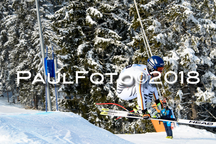 Int. FIS Rennen + NJC Herren, SG, Götschen, 26.02.2018