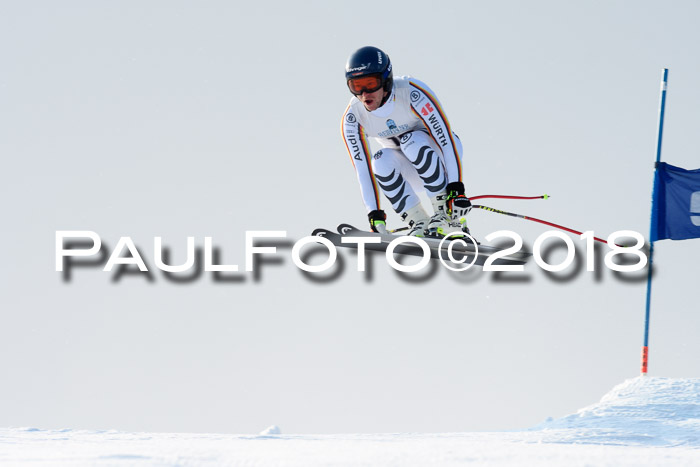 Int. FIS Rennen + NJC Herren, SG, Götschen, 26.02.2018