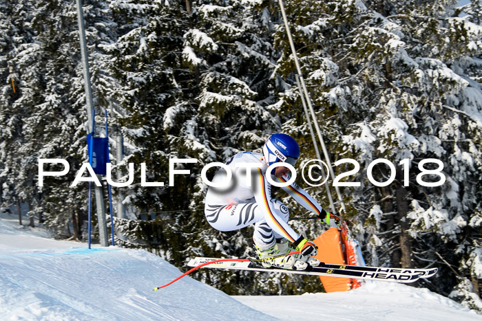 Int. FIS Rennen + NJC Herren, SG, Götschen, 26.02.2018