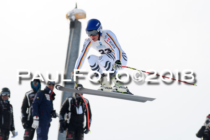 Int. FIS Rennen + NJC Herren, SG, Götschen, 26.02.2018