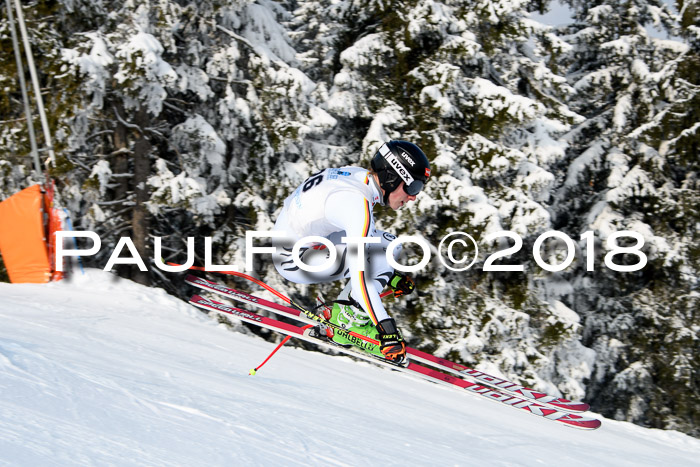 Int. FIS Rennen + NJC Herren, SG, Götschen, 26.02.2018