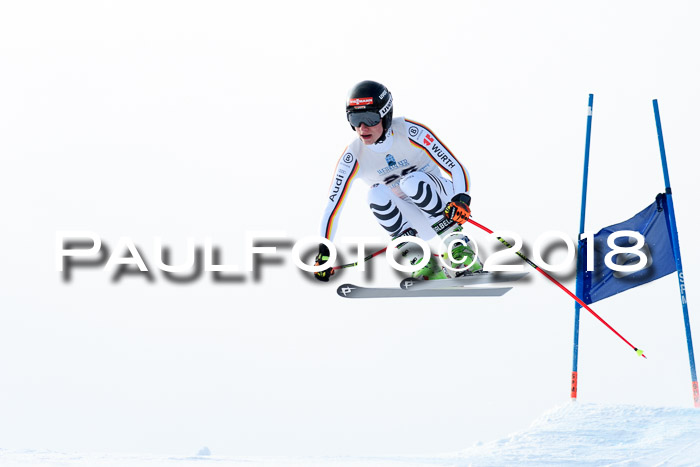 Int. FIS Rennen + NJC Herren, SG, Götschen, 26.02.2018