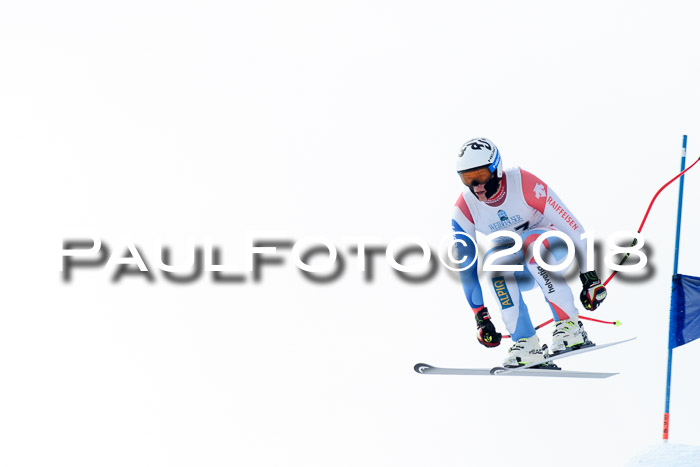 Int. FIS Rennen + NJC Herren, SG, Götschen, 26.02.2018