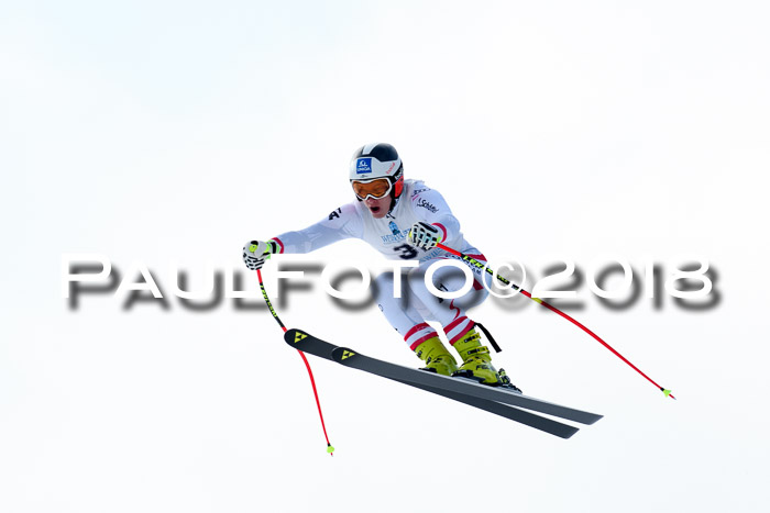 Int. FIS Rennen + NJC Herren, SG, Götschen, 26.02.2018