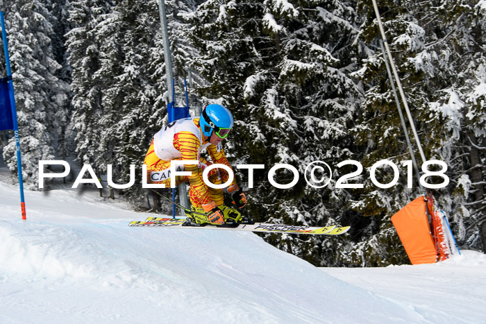 Int. FIS Rennen + NJC Herren, SG, Götschen, 26.02.2018