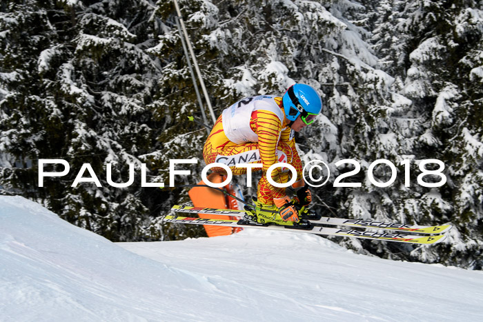 Int. FIS Rennen + NJC Herren, SG, Götschen, 26.02.2018