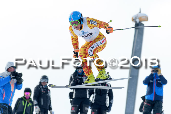 Int. FIS Rennen + NJC Herren, SG, Götschen, 26.02.2018