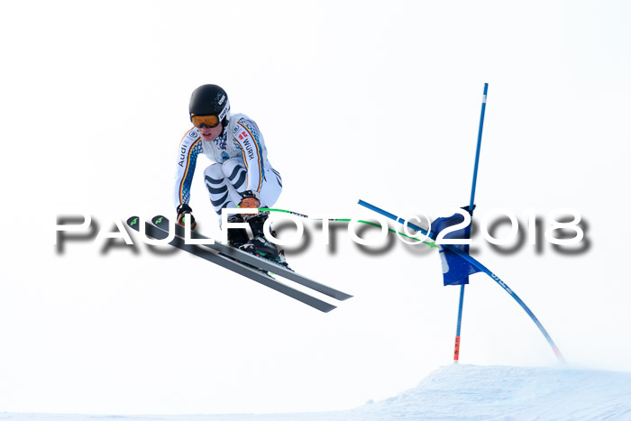 Int. FIS Rennen + NJC Herren, SG, Götschen, 26.02.2018