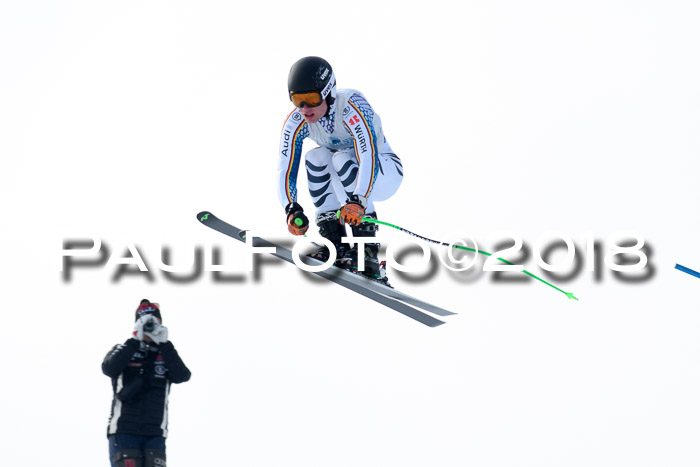Int. FIS Rennen + NJC Herren, SG, Götschen, 26.02.2018