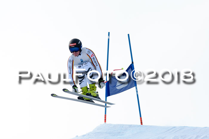 Int. FIS Rennen + NJC Herren, SG, Götschen, 26.02.2018