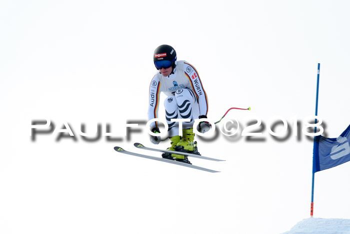Int. FIS Rennen + NJC Herren, SG, Götschen, 26.02.2018