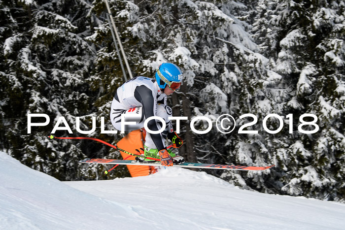Int. FIS Rennen + NJC Herren, SG, Götschen, 26.02.2018