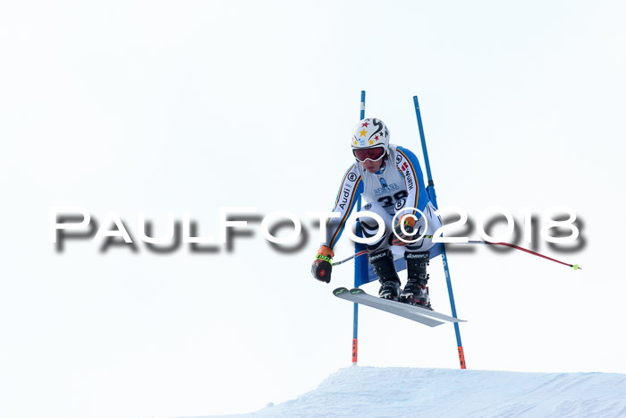 Int. FIS Rennen + NJC Herren, SG, Götschen, 26.02.2018