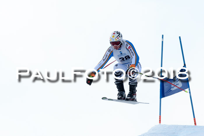 Int. FIS Rennen + NJC Herren, SG, Götschen, 26.02.2018