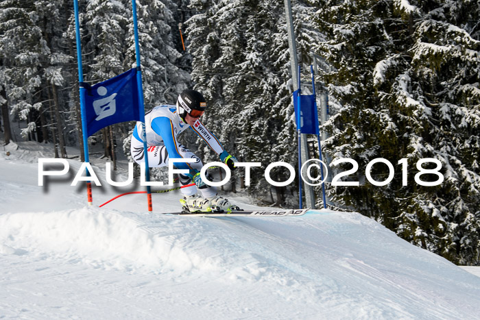 Int. FIS Rennen + NJC Herren, SG, Götschen, 26.02.2018