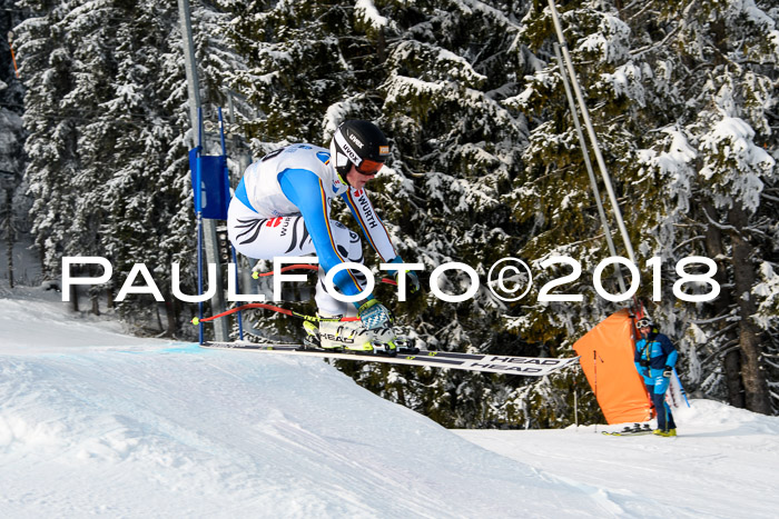 Int. FIS Rennen + NJC Herren, SG, Götschen, 26.02.2018