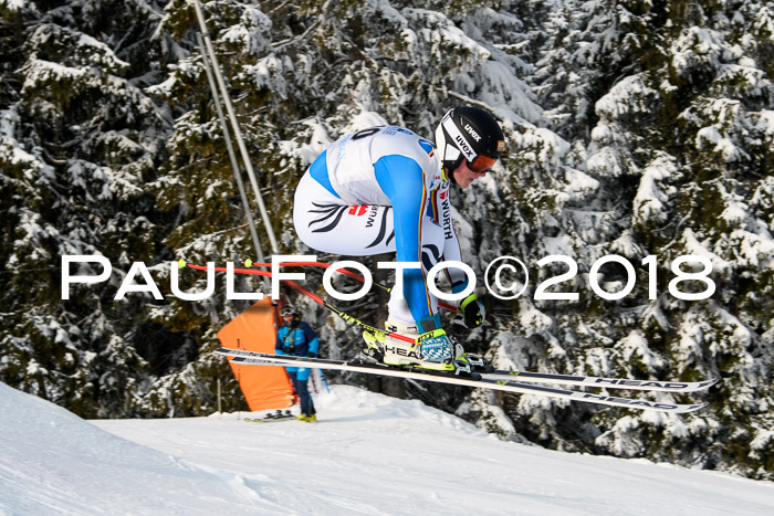 Int. FIS Rennen + NJC Herren, SG, Götschen, 26.02.2018