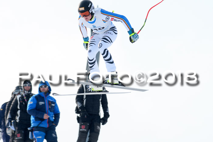 Int. FIS Rennen + NJC Herren, SG, Götschen, 26.02.2018