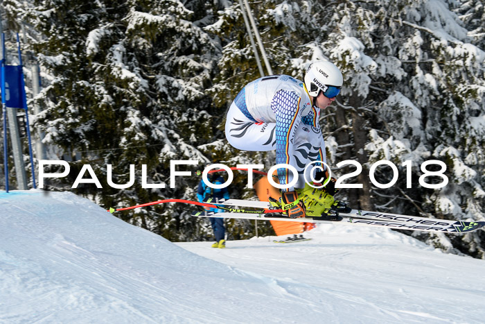 Int. FIS Rennen + NJC Herren, SG, Götschen, 26.02.2018
