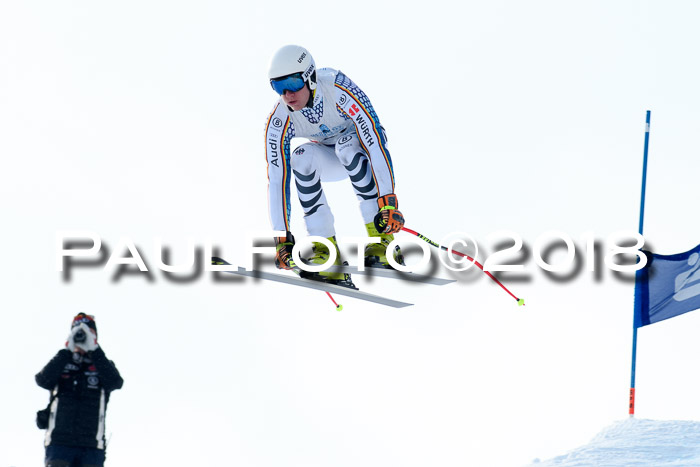 Int. FIS Rennen + NJC Herren, SG, Götschen, 26.02.2018