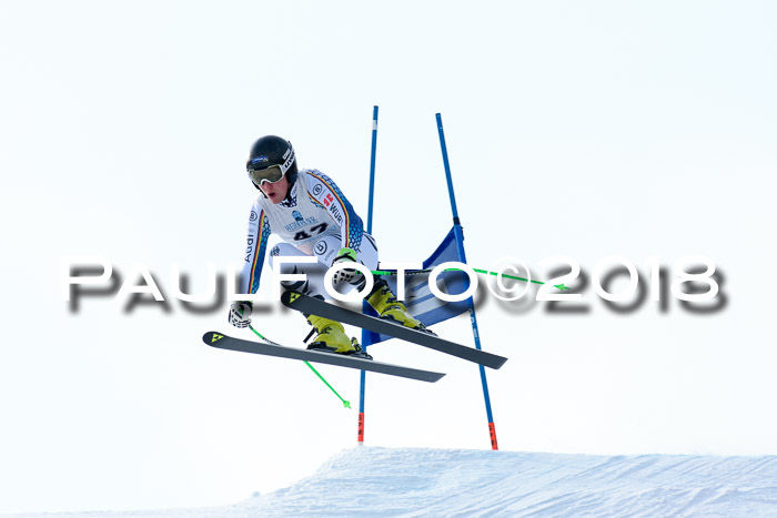 Int. FIS Rennen + NJC Herren, SG, Götschen, 26.02.2018