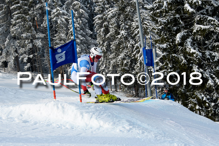 Int. FIS Rennen + NJC Herren, SG, Götschen, 26.02.2018