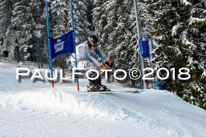 Int. FIS Rennen + NJC Herren, SG, Götschen, 26.02.2018