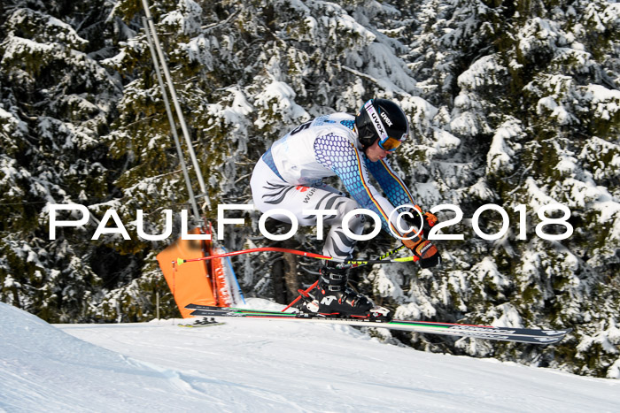 Int. FIS Rennen + NJC Herren, SG, Götschen, 26.02.2018