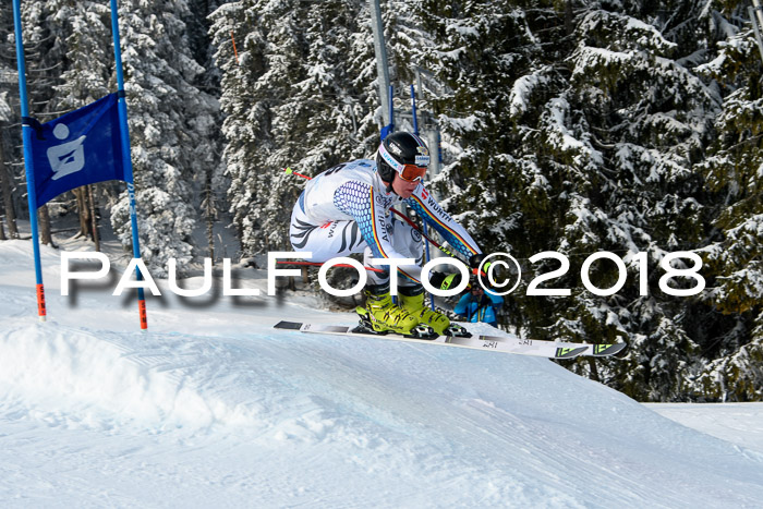 Int. FIS Rennen + NJC Herren, SG, Götschen, 26.02.2018